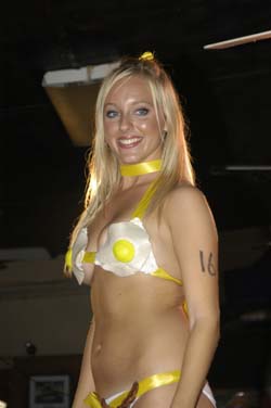 Hogs Breath Saloon Home Made Bikini Contest 2005 photo - Duval Street, Key West